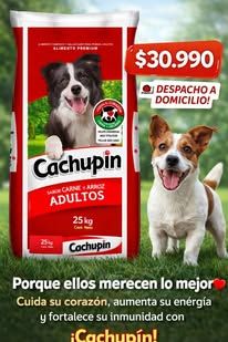 Cachupin 25 Kg